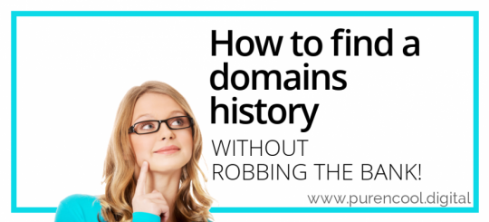 Finding a domains history