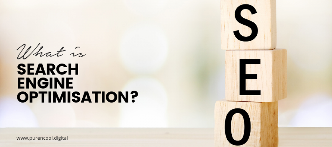 What is search engine optimisation